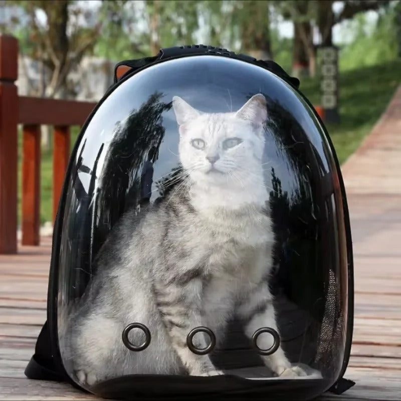 CÁPSULA ESPACIAL PORTÁTIL PARA GATOS